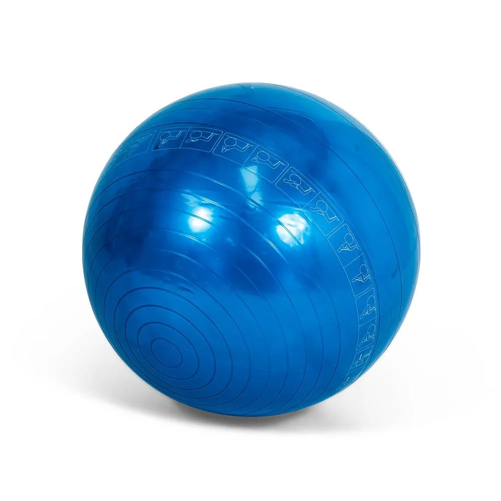 Exercise / Fitness / Physio Ball